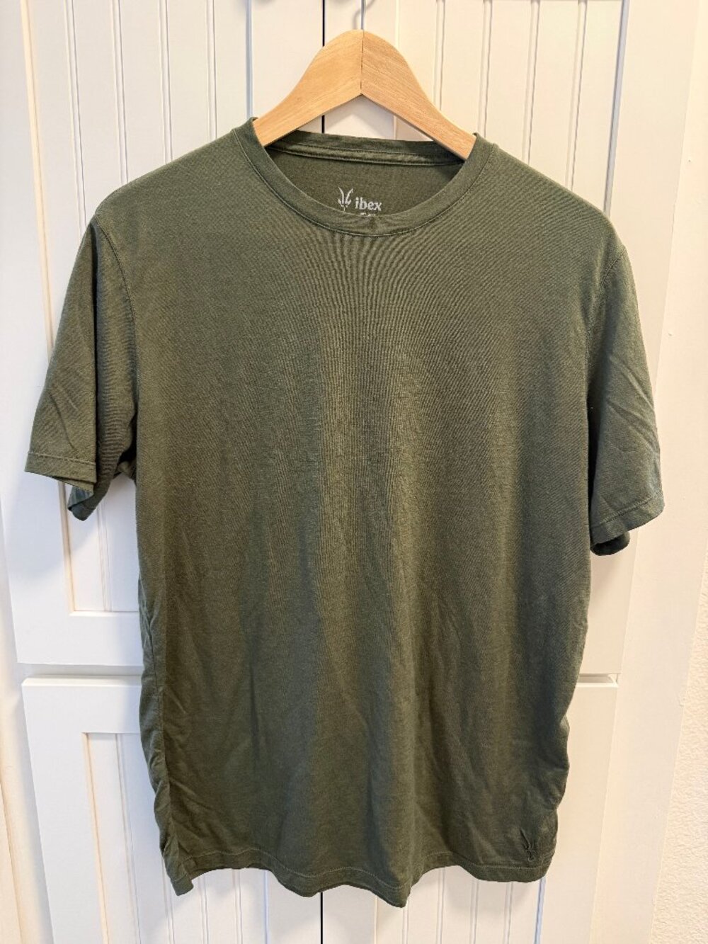 Ibex Men's Paradox Short Sleeve Tee L